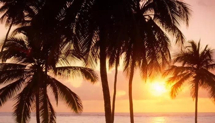 پاییز در جزیره کیش